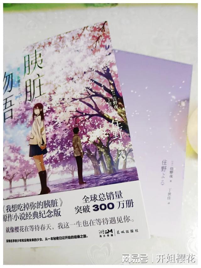 豆娃勇士2